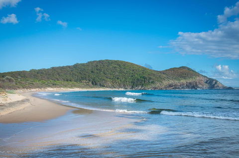 Pacific Palms Resort - Accommodation Yamba 9