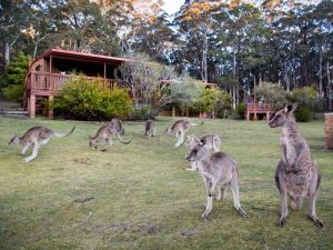 Jenolan Caves Cottages - Accommodation Yamba 1