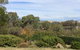 Smiths Folly - thumb 4