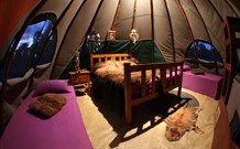Aranyani Bison Adventure Tourist Park - Accommodation Yamba 0