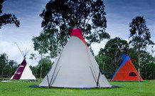 Aranyani Bison Adventure Tourist Park - Accommodation Yamba 1