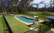 Aranyani Bison Adventure Tourist Park - Accommodation Yamba 4