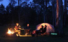 Aranyani Bison Adventure Tourist Park - Accommodation Yamba 2