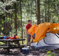 Bald Rock campground and picnic area - Accommodation Yamba