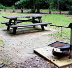 Bellbird campground - Accommodation Yamba