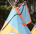 Central Coast Eco Tours - Accommodation Yamba