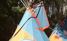 Central Coast Eco Tours - Accommodation Yamba 0