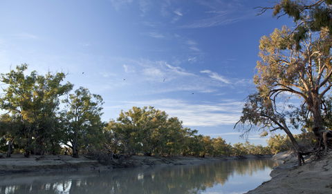 Darling River Campground - Accommodation Yamba 0