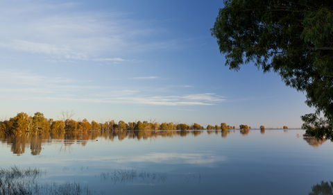 Darling River Campground - Accommodation Yamba 2