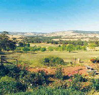 Pecan Hill Bed and Breakfast - Accommodation Yamba