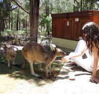 Yelverton Brook Eco Spa Retreat and Conservation Sanctuary - Accommodation Yamba