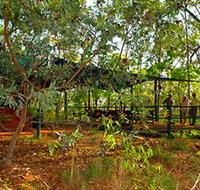 Arnhemland Barramundi Nature Lodge - Accommodation Yamba