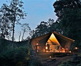 Nightfall Wilderness Camp - Accommodation Yamba 0