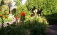 Blue Wren Cottage - thumb 0