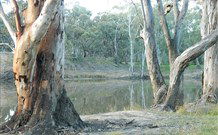 Mclean Beach Holiday Park - Accommodation Yamba 5