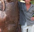 Michael's Clarence Valley Retreat - Accommodation Yamba