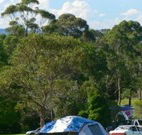 Milton Valley Holiday Park - Accommodation Yamba
