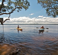 Mungo Brush campground - Accommodation Yamba