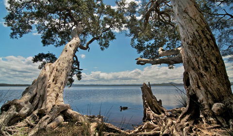 Mungo Brush Campground - Accommodation Yamba 1