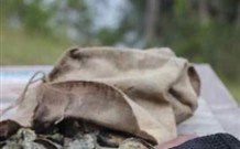 The Escape Luxury Camping - Accommodation Yamba 1