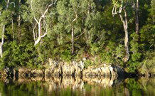 The Escape Luxury Camping - Accommodation Yamba 5