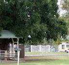 Warialda Caravan Park - Accommodation Yamba