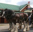 Araluen Valley Hotel - Araluen - Accommodation Yamba