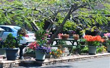 Milgate Motel - Casino - Accommodation Yamba 2