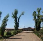 Newell Motor Inn - Narrandera - Accommodation Yamba