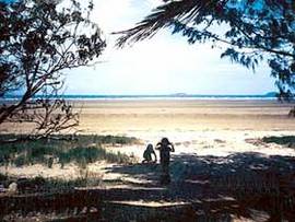 Travellers Rest Caravan & Camping Park - Accommodation Yamba 0