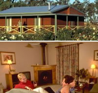 Twin Trees Country Cottages - Accommodation Yamba