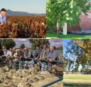 Southern Cross Motor Inn - Accommodation Yamba