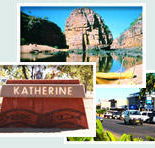 Red Gum Tourist Park - Accommodation Yamba