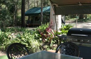 Tamborine Mountain Caravan & Camping - Accommodation Yamba 2