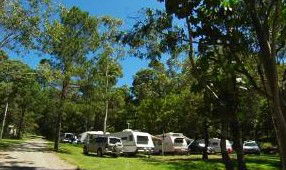 Tamborine Mountain Caravan & Camping - Accommodation Yamba 3