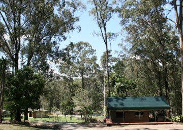 Tamborine Mountain Caravan & Camping - Accommodation Yamba 4
