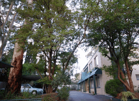 Adelaide Oakford Apartments - Accommodation Yamba 0