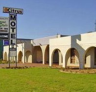 Citrus Motel - Accommodation Yamba