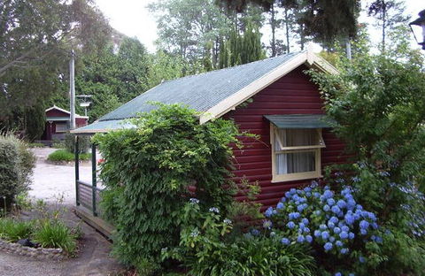 Cedar Lodge Cabins - Accommodation Yamba 0