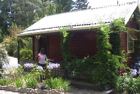 Cedar Lodge Cabins - Accommodation Yamba 1