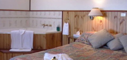 Cedar Lodge Cabins - Accommodation Yamba 2