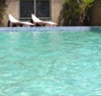 Toreador Motel - Coffs Harbour - Accommodation Yamba