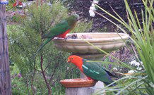 Valley View Motel Murrurundi - Murrurundi - Accommodation Yamba 4