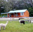 Moorallie Cottage Farm Stay - Accommodation Yamba