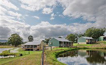 Waterfall Way Farmstay - Accommodation Yamba 3