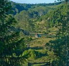 Yarralong BnB and Farm Stay - Accommodation Yamba