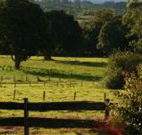 Pines on the Plateau - Accommodation Yamba