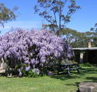 Studio Cottages - Accommodation Yamba
