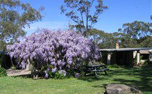 Studio Cottages - Accommodation Yamba 0