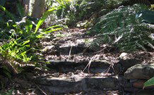 Studio Cottages - Accommodation Yamba 5